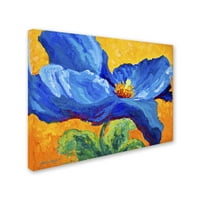 Marcă comercială Fine Art 'Blue Poppy 2' Canvas Art de Marion Rose