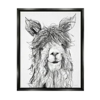 Stupell Industries Lama zâmbitoare Alpaca păr Shaggy mâzgălit desen Desen imprimare Jet negru plutitor încadrat pânză imprimare