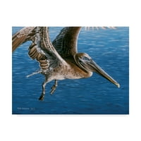 Marcă comercială Fine Art 'Flying Pelican' Canvas Art de Ron Parker