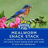 Audubon Park Mealworm Snack Stack mâncare pentru păsări sălbatice, oz