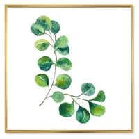 Verde eucalipt ramuri de plante ii înrămate pictura panza arta Print