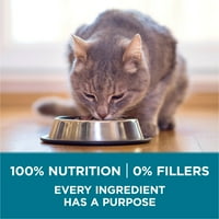 Purina One Tender Selectează amestecul cu mâncare naturală uscată pentru pisici pentru îngrijirea digestivă a somonului Real
