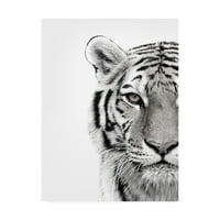 Marcă comercială Fine Art 'White Tiger Fabrikken' Canvas Art by Design Fabrikken