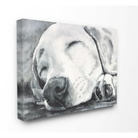 Stupell Industries câine somnoros animal de companie pictură în acuarelă Super pânză artă de perete de George Dyachenko