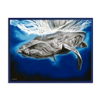 Portret De Aproape Al Unei Balene Cu Cocoașă Încadrată Pictură Pe Pânză Imprimare De Artă