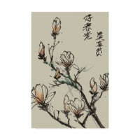 Marcă comercială Fine Art 'Mandarin Magnolia I' Canvas Art de Melissa Wang