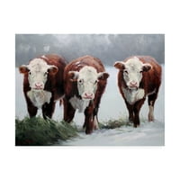 Marcă comercială Fine Art 'Winter Shadows Cows' Canvas Art de Carolyne Hawley