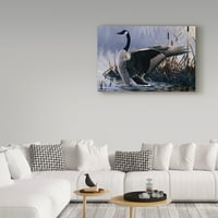 Marcă comercială Fine Art 'Canada Goose' Canvas Art de Wilhelm Goebel